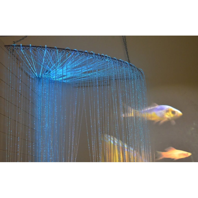 Startpakke Sensory Bubble