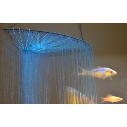 Startpakke Sensory Bubble