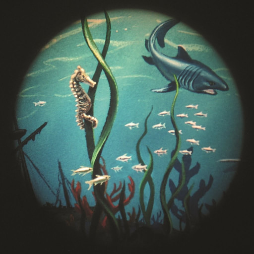 Effekthjul Hav, 15cm (magnetfeste)