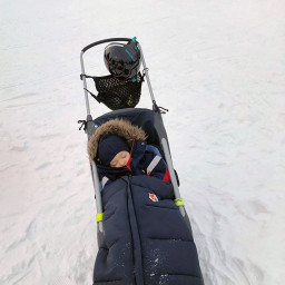 Pulk Snow Baby Fun