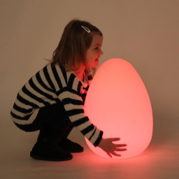 Lysegg inkl fjernkontroll