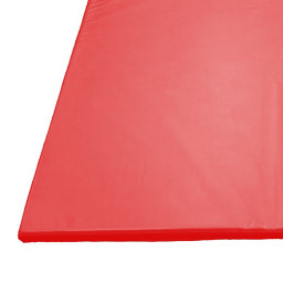 Golvmadrass, 200x100x10cm rød