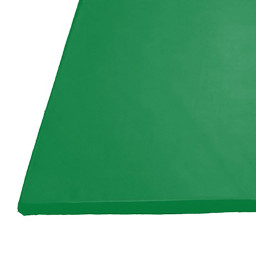 Golvmadrass, 200x100x10cm Grønn