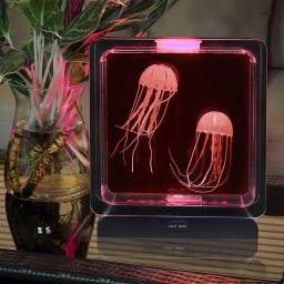 Manetlampe