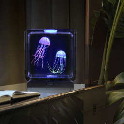 Manetlampe