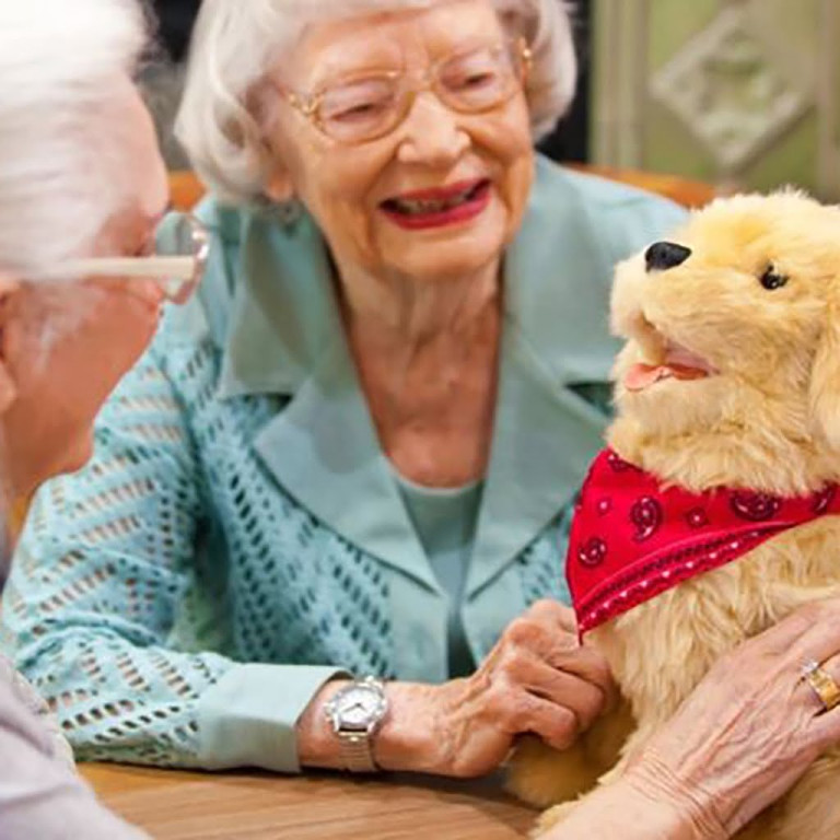 Terapihund Golden Retriever