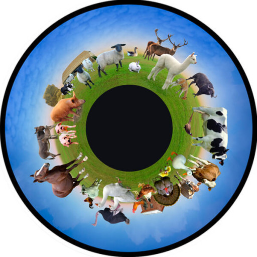 Solar effekthjul Husdyr