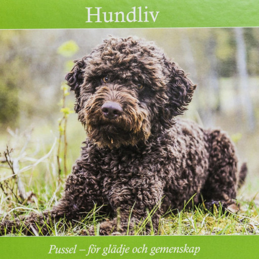 Puslespill Hund, 30 biter