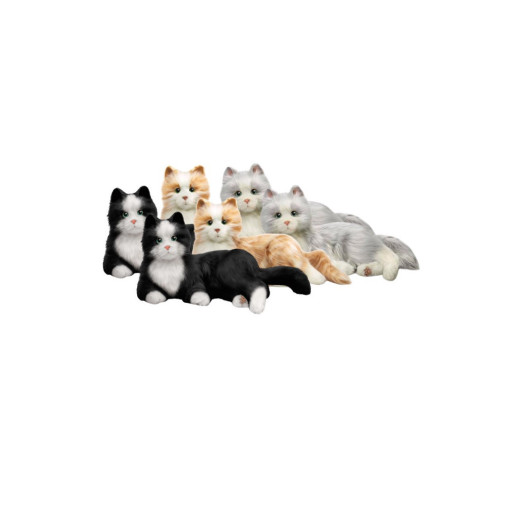 Terapikatt 6-pack