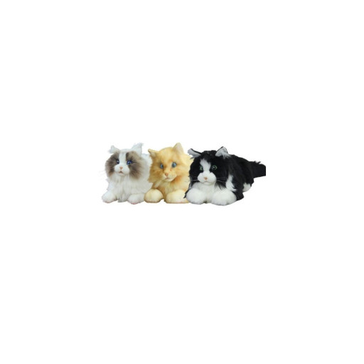 Metacat 3-pack